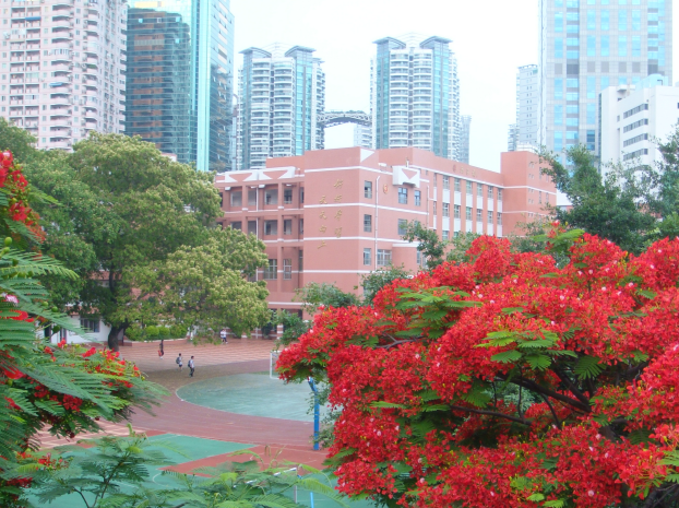 廈門大同小學(xué)怎么報名？廈門大同小學(xué)<a href=http://m.artmsyj.com/rxgl/ target=_blank class=infotextkey>入學(xué)</a>條件有哪些？